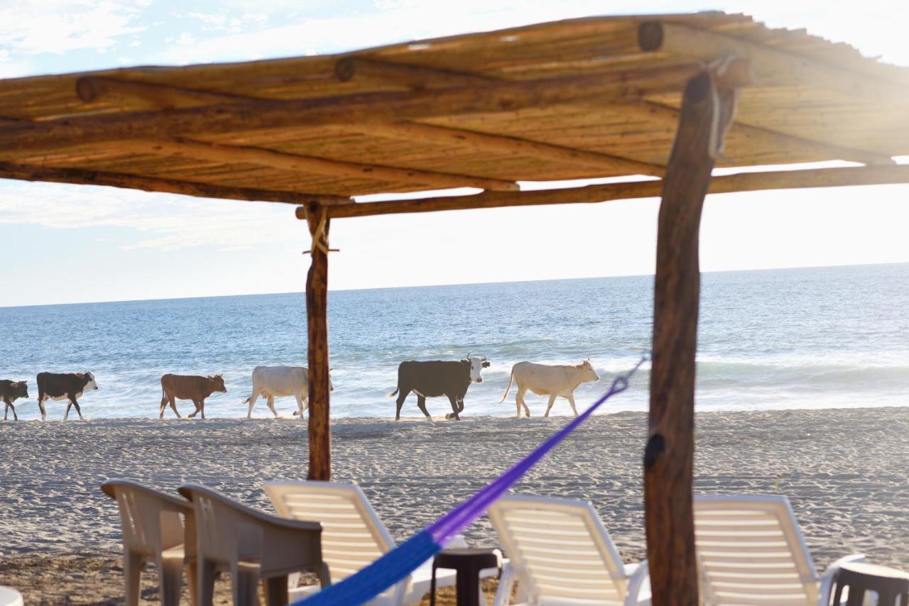 Cerritos Beach Palace El Pescadero  外观 照片